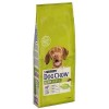 Dog Chow Kuzu Etli Yetişkin Köpek Maması 14kg