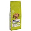 Dog Chow Kuzu Etli Yetişkin Köpek Maması 14kg