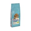 Dog Chow Puppy Kuzu Etli Yavru Köpek Maması 14 kg