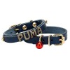 Doggie Kedi ve Yavru Köpek İsimlikli Deri Boyun Tasması 1,2 x 23-27 cm Mavi