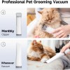 ELS Pet Groomdora Kedi ve Köpek Tüy Bakım ve Temizleme Seti