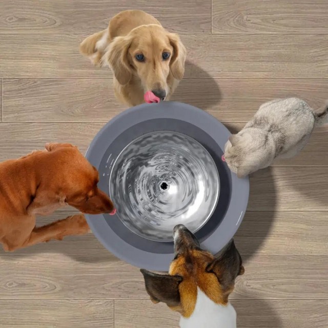 ELS Pet Kedi ve Köpek Su Pınarı 8 Litre