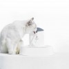 ELS Pet SeaShell Kedi veKöpek Su Pınarı 3 Litre