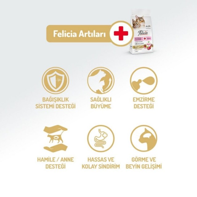 Felicia Düşük Tahıllı Hipoalerjenik Kuzu Etli Yavru Kedi Maması 12kg