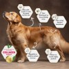 Felicia Düşük Tahıllı Hipoalerjenik Kuzu Etli Orta ve Büyük Irk Yetişkin Köpek Maması 3kg