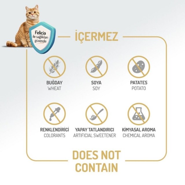 Felicia Düşük Tahıllı Hipoalerjenik Somonlu Yetişkin Kedi Maması 2kg