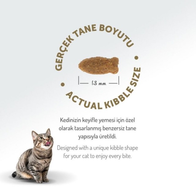 Felicia Düşük Tahıllı Hipoalerjenik Somonlu Yetişkin Kedi Maması 2kg