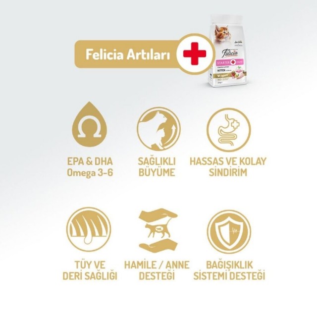 Felicia Düşük Tahıllı Hipoalerjenik Tavuklu Yavru Kedi Maması 12kg