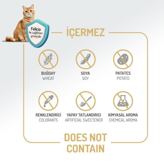 Felicia Az Tahıllı Yavru Tavuklu HypoAllergenic Kedi Maması 2 kg
