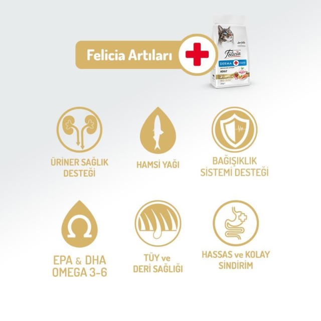 Felicia Az Tahıllı Yetişkin Somonlu HypoAllergenic Kedi Maması 12 kg