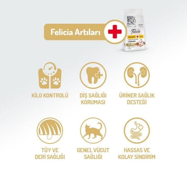 Felicia Düşük Tahıllı Hipoalerjenik Tavuklu Kısırlaştırılmış Yetişkin Kedi Maması 12kg
