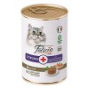 Felicia Tahılsız Somonlu Kısırlaştırılmış Yetişkin Kedi Konservesi 400gr