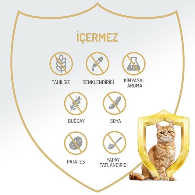 Felicia Tahılsız Somonlu Kısırlaştırılmış Yetişkin Kedi Konservesi 400gr
