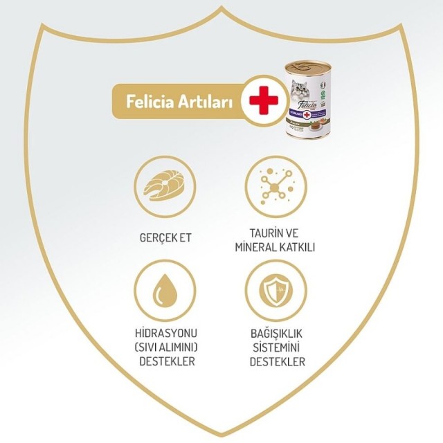 Felicia Tahılsız Somonlu Kısırlaştırılmış Yetişkin Kedi Konservesi 400gr