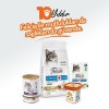 Felicia Tahılsız Somonlu Kısırlaştırılmış Yetişkin Kedi Konservesi 400gr