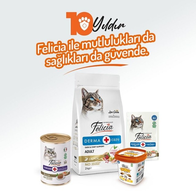Felicia Tahılsız Somonlu Kısırlaştırılmış Yetişkin Kedi Konservesi 400gr