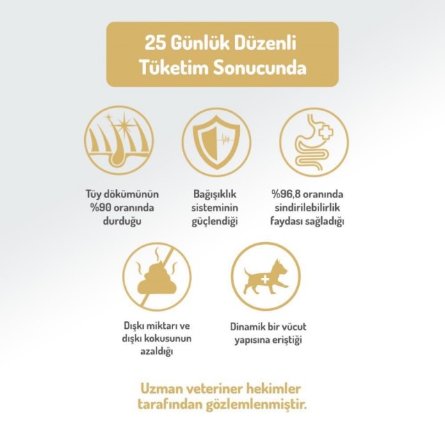 Felicia Kuzu Etli Yetişkin Köpek Maması 15 kg