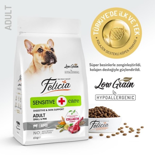 Felicia Kuzulu Small Mini Breed Yetişkin Köpek Maması 6 kg