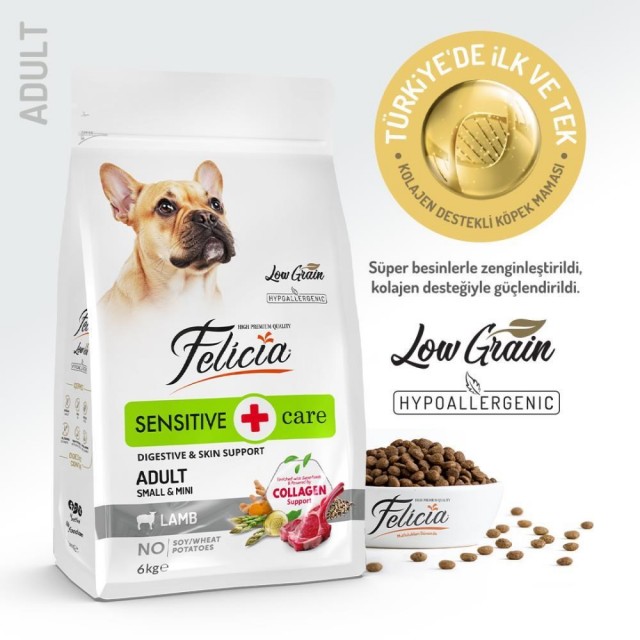Felicia Kuzulu Small Mini Breed Yetişkin Köpek Maması 6 kg