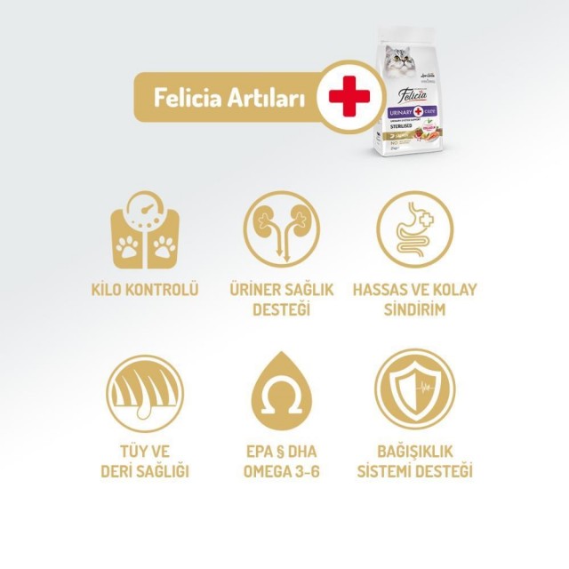 Felicia Somonlu Az Tahıllı Kısır Kedi Maması 12 kg
