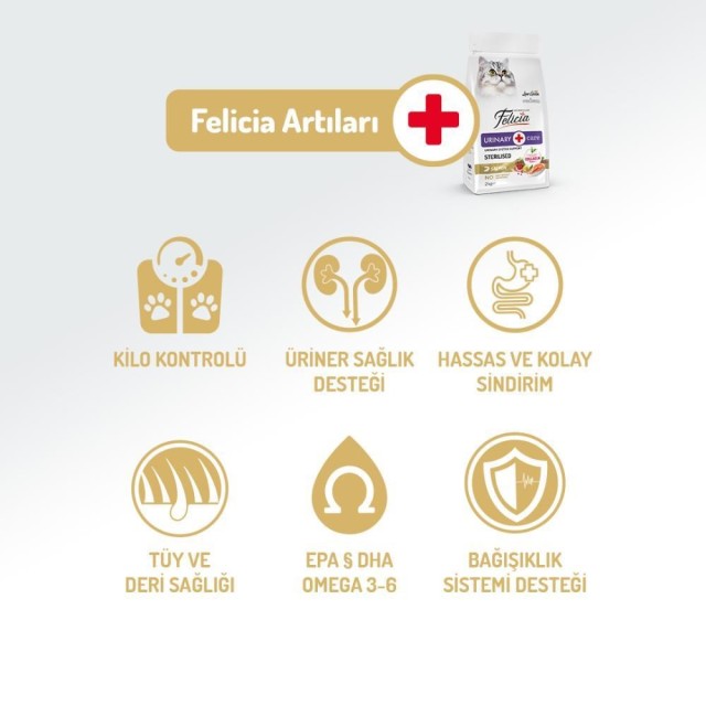 Felicia Somonlu Az Tahıllı Kısır Kedi Maması 12 kg