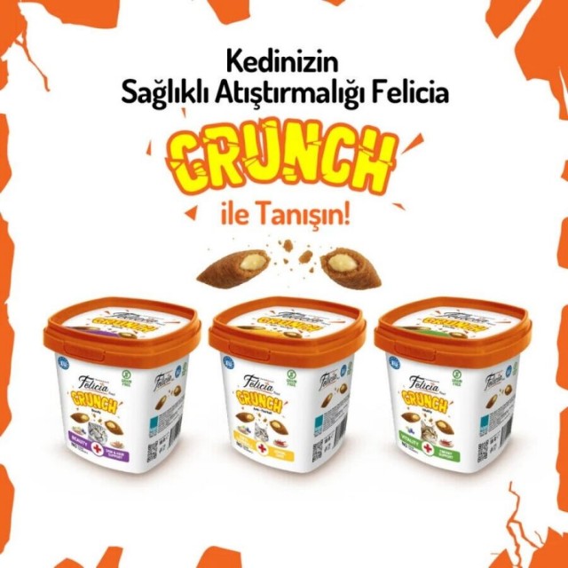Felicia Vitality Sığır Etli Yaban Mersinli ve Sütlü Kedi Crunch Ödül Maması 100gr