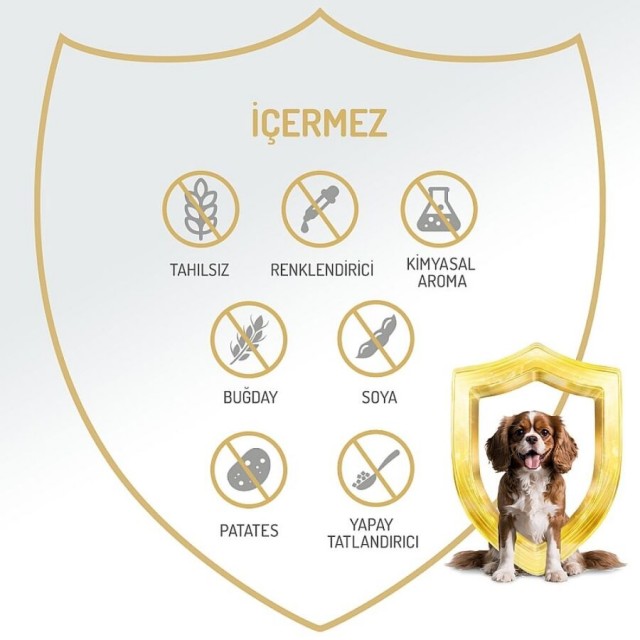 Felicia Tahılsız Tavuklu Yetişkin Köpek Konservesi 400gr