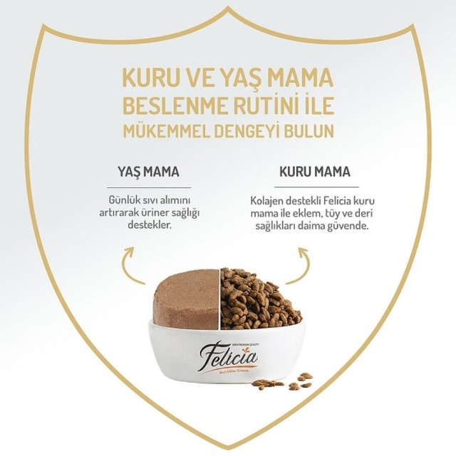 Felicia Tahılsız Tavuklu Yetişkin Köpek Konservesi 400gr