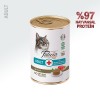 Felicia Tahılsız Ton Balıklı Yetişkin Kedi Konservesi 400gr