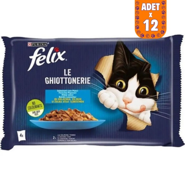 Felix Multipack Somonlu ve Ton Balıklı Kedi Yaş Maması 4x85 Gr 12 Adet