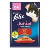 Felix Sığır Etli Yavru Kedi Konservesi 85gr
