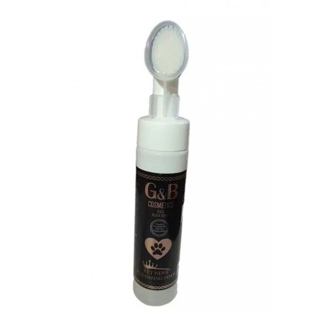 G&B Pati Temizleme Köpüğü 250 Ml