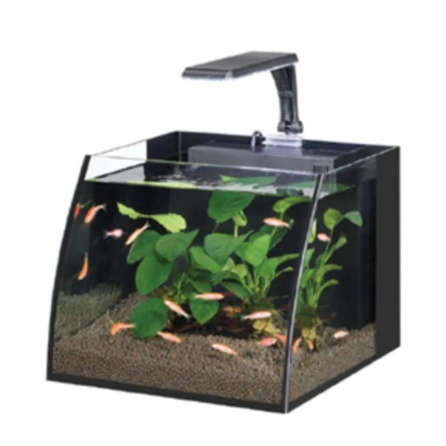 HAQOS BELLY BOX 25 NANO AKVARYUM SİYAH 11L A12580