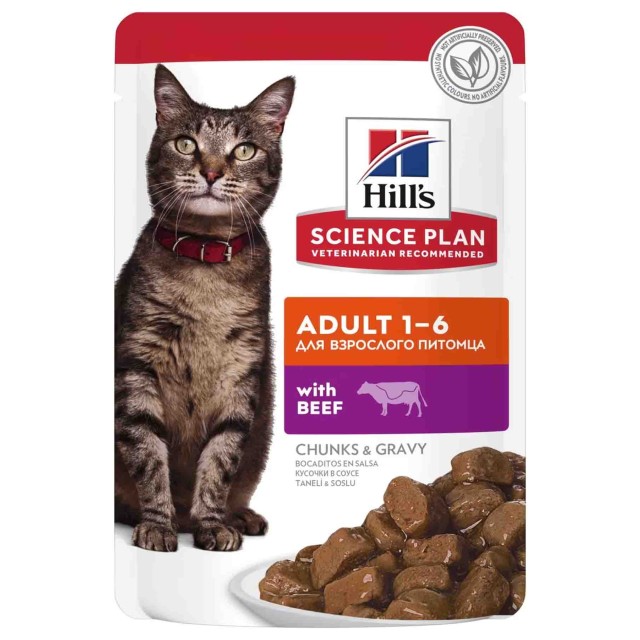 Hills Biftekli Yetişkin Kedi Konservesi 85gr