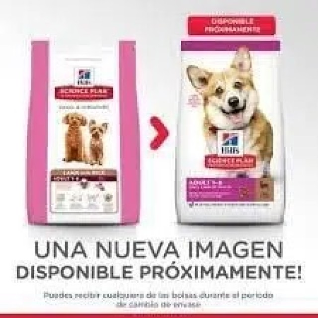 Hills Küçük Irk Kuzulu Yetişkin Köpek Maması 6 Kg