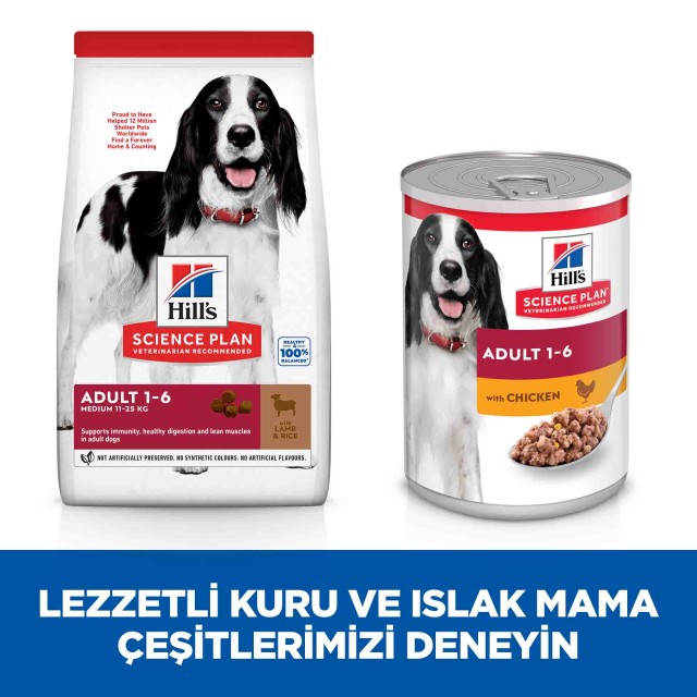 Hills Kuzu Eti ve Pirinçli Orta Irk Yetişkin Köpek Maması 14kg
