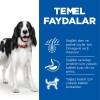 Hills Kuzu Eti ve Pirinçli Orta Irk Yetişkin Köpek Maması 14kg