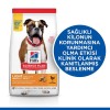 Hills Light Tavuklu Orta Irk Yetişkin Köpek Maması 14kg