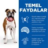 Hills Light Tavuklu Orta Irk Yetişkin Köpek Maması 14kg
