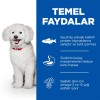 Hill's SCIENCE PLAN Hipoalerjenik Somonlu Küçük Irk Yetişkin Köpek Maması 6 Kg