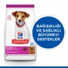 Hill's SCIENCE PLAN Kuzulu & Pirinçli Küçük ve Mini Irk Yavru Köpek Maması 6 Kg