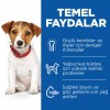 Hill's SCIENCE PLAN Kuzulu & Pirinçli Küçük ve Mini Irk Yavru Köpek Maması 6 Kg