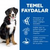 Hill's SCIENCE PLAN Kuzulu ve Pirinçli Büyük Irk Yetişkin Köpek Maması 14 Kg