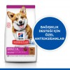 Hill's SCIENCE PLAN Kuzulu ve Pirinçli Küçük ve Mini Irk Yetişkin Köpek Maması 1.5 Kg