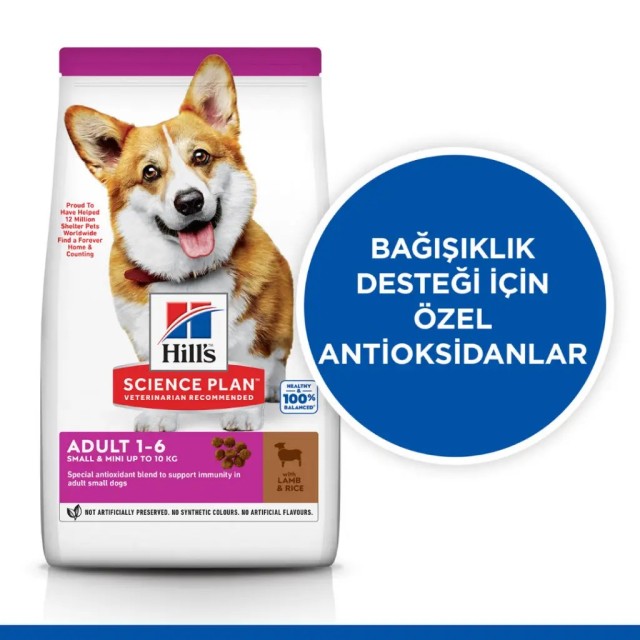 Hill's SCIENCE PLAN Kuzulu ve Pirinçli Küçük ve Mini Irk Yetişkin Köpek Maması 6 Kg