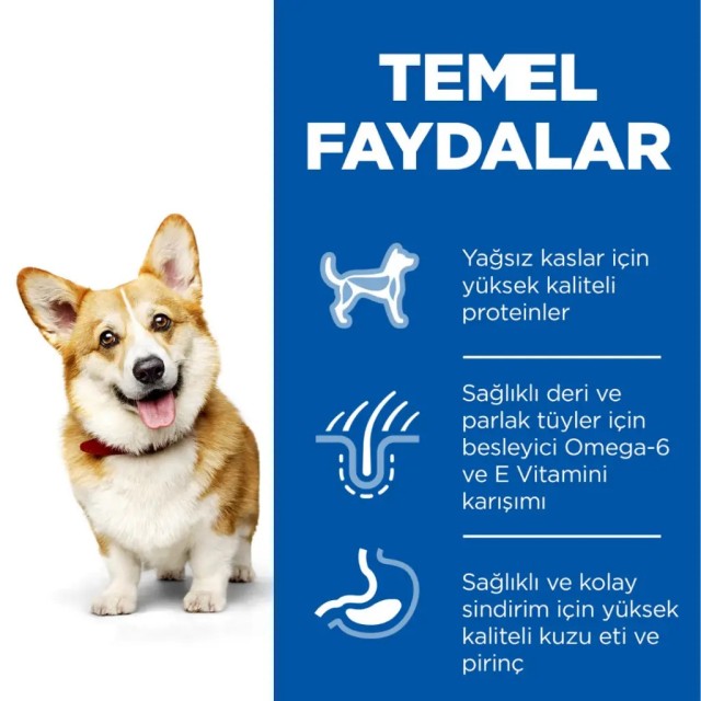 Hill's SCIENCE PLAN Kuzulu ve Pirinçli Küçük ve Mini Irk Yetişkin Köpek Maması 6 Kg