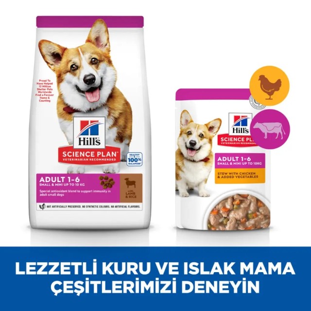 Hill's SCIENCE PLAN Kuzulu ve Pirinçli Küçük ve Mini Irk Yetişkin Köpek Maması 6 Kg