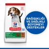 Hill's SCIENCE PLAN Kuzulu ve Pirinçli Orta Irk Yavru Köpek Maması 14 Kg