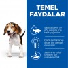 Hill's SCIENCE PLAN Kuzulu ve Pirinçli Orta Irk Yavru Köpek Maması 14 Kg