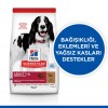 Hill's SCIENCE PLAN Kuzulu ve Pirinçli Orta Irk Yetişkin Köpek Maması 14 Kg